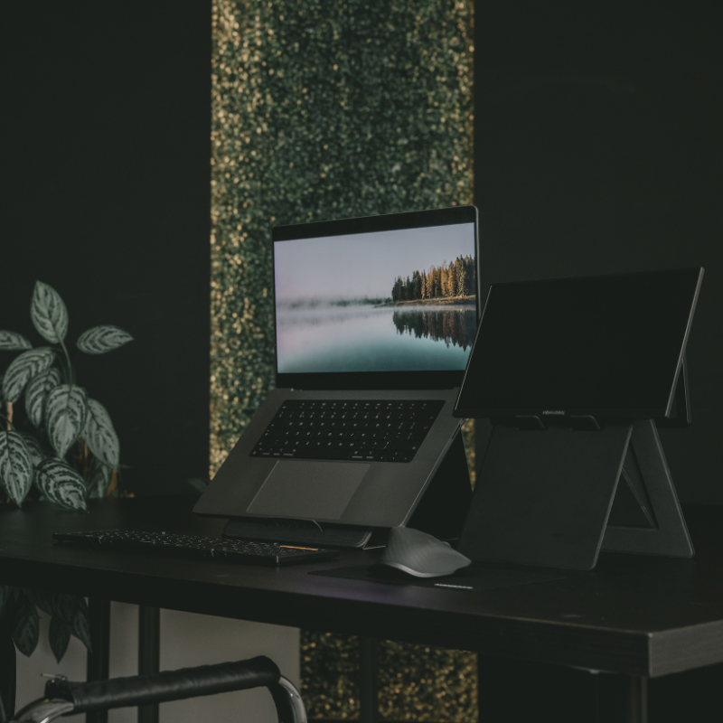 Portable Monitor + Sleeve + Stand