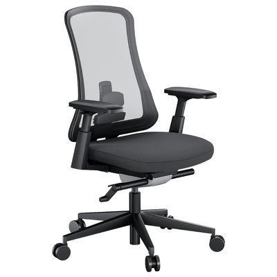 Flexer Pro Ergonomischer Bürostuhl